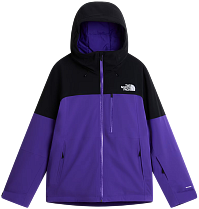 Куртка мужская The North Face Freedom Peak Purple/Tnf Black