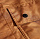 Куртка мужская The North Face Balfron Timber Tan Tonal Duck Camo Print-Tnf Black - Фото 13 малая