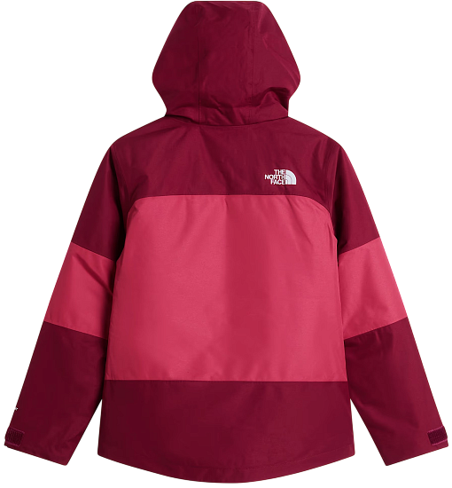 Куртка детская The North Face Freedom Burgundy Crush/Fermented Clay - Фото 2 большая