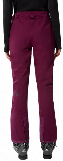 Брюки женские The North Face Lenado Pamplona Purple - Фото 6 большая