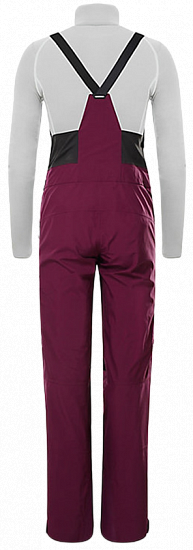 Брюки женские The North Face Brigandine Futurelight Pamplona Purple/TNF Black - Фото 14 большая