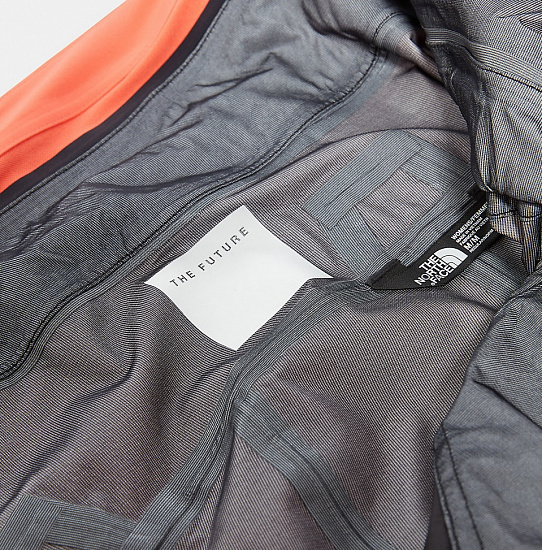 Брюки женские The North Face Purist Bib Radiant Orange - Фото 11 большая