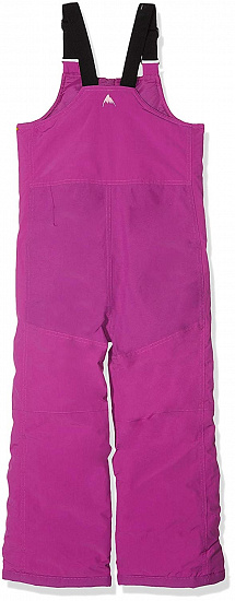 Брюки детские Burton Ms Maven Bib Grapeseed - Фото 2 большая