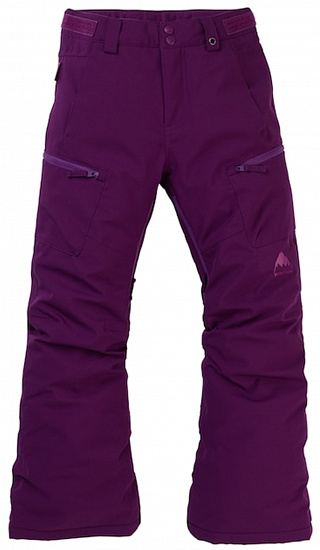 Брюки детские Burton Elite Cargo Charisma - Фото 1 большая