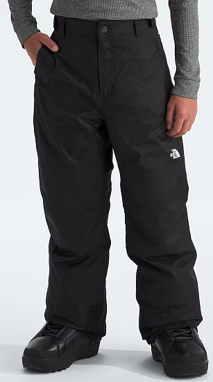 Брюки детские The North Face Freedom Insulated Tnf Black - Фото 2 большая
