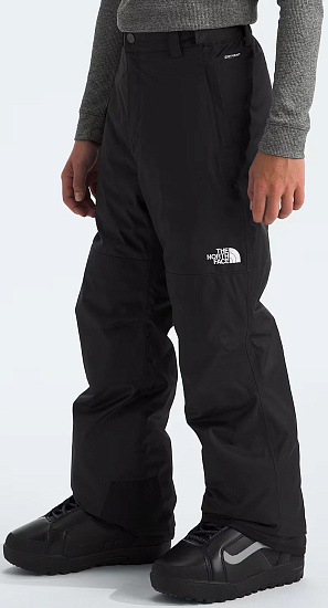 Брюки детские The North Face Freedom Insulated Tnf Black - Фото 3 большая
