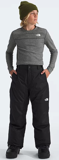 Брюки детские The North Face Freedom Insulated Tnf Black - Фото 4 большая