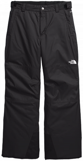 Брюки детские The North Face Freedom Insulated Tnf Black - Фото 1 большая