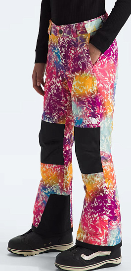 Брюки детские The North Face Freedom Insulated Girl’s Radiant Poppy Blowin Wind Print - Фото 5 большая