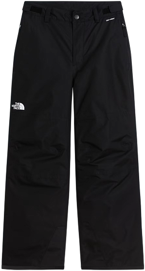Брюки детские The North Face Freedom TNF Black - Фото 1 большая