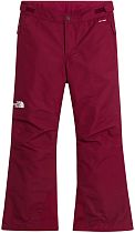 Брюки детские The North Face Freedom Insulated Glacier Burgundy Crush