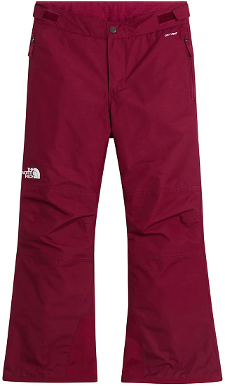 Брюки детские The North Face Freedom Insulated Glacier Burgundy Crush - Фото 1 большая
