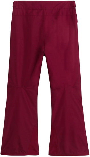Брюки детские The North Face Freedom Insulated Glacier Burgundy Crush - Фото 2 большая