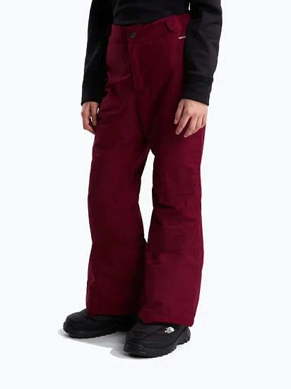 Брюки детские The North Face Freedom Insulated Glacier Burgundy Crush - Фото 3 большая