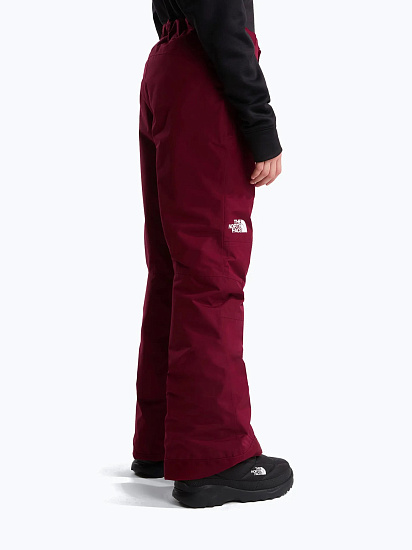 Брюки детские The North Face Freedom Insulated Glacier Burgundy Crush - Фото 4 большая