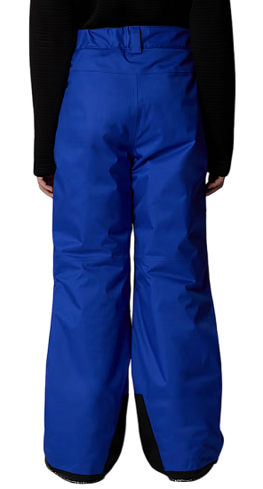 Брюки детские The North Face Freedom Insulated Tnf Blue - Фото 9 большая