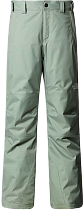 Брюки детские The North Face Freedom Insulated Slate Moss