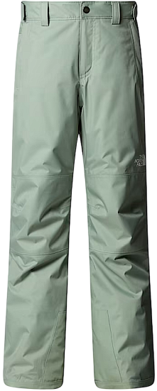 Брюки детские The North Face Freedom Insulated Slate Moss - Фото 1 большая