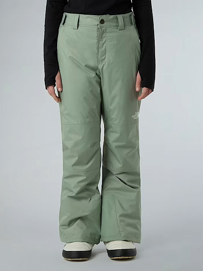 Брюки детские The North Face Freedom Insulated Slate Moss - Фото 3 большая