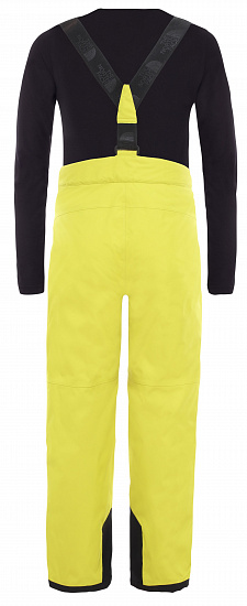 Брюки детские The North Face Snowquest Suspender Plus Citro Green - Фото 2 большая
