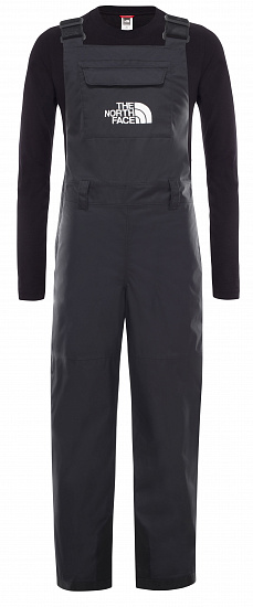Брюки детские The North Face Freedom Insulated Bib Tnf Black - Фото 1 большая