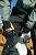 Брюки мужские 686 Gore-Tex Stretch Dispatch Bib Black - Фото 4 малая