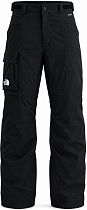 Брюки мужские The North Face Freedom Insulated Tnf Black