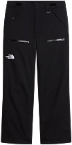 Брюки мужские The North Face Chakal Tnf Black