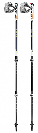 Палки для скандинавской ходьбы Leki Traveller Carbon - Фото 1 большая