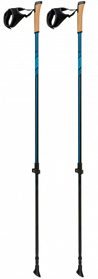 Палки для скандинавской ходьбы Ferrino Nordiсk Step-In Blue - Фото 1 большая