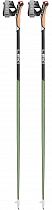 Палки для скандинавской ходьбы Leki Flash Carbon Green/Grey