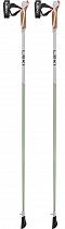 Палки для скандинавской ходьбы Leki Passion Green/White