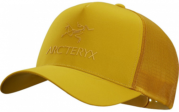 Кепка Arcteryx Logo Trucker Pipe Dream - Фото 1 большая