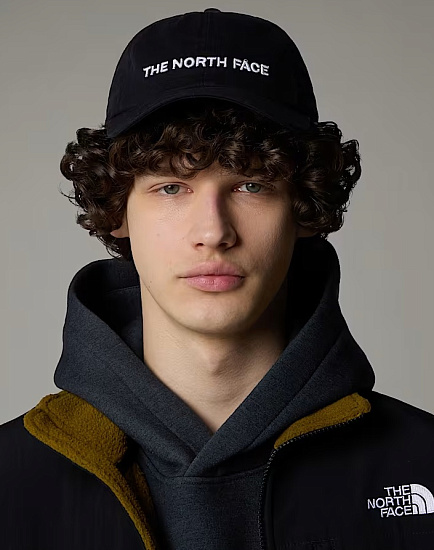 Кепка The North Face Roomy Norm Elements Tnf Black/Washed/Horizo - Фото 2 большая