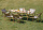 Стол Naturehike Star Jane L01 XL Oak Color - Фото 3 малая