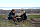 Табурет Naturehike Aluminum Alloy Stool Black - Фото 7 малая