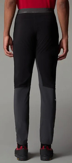 Брюки мужские The North Face Felik Slim Tapered Asphalt Grey/Tnf Black - Фото 3 большая