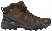 Ботинки мужские Salomon X Ultra 360 Ltr Mid Gtx Dkeart/Dlc