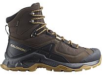 Ботинки мужские Salomon Quest Element Gtx Dlciso/Black/Dull Gold