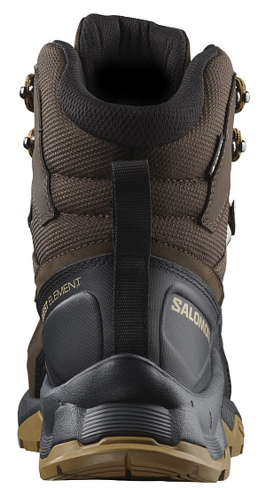 Ботинки мужские Salomon Quest Element Gtx Dlciso/Black/Dull Gold - Фото 6 большая