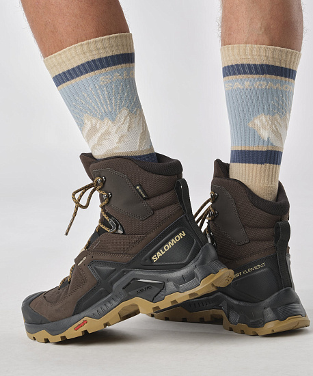 Ботинки мужские Salomon Quest Element Gtx Dlciso/Black/Dull Gold - Фото 7 большая