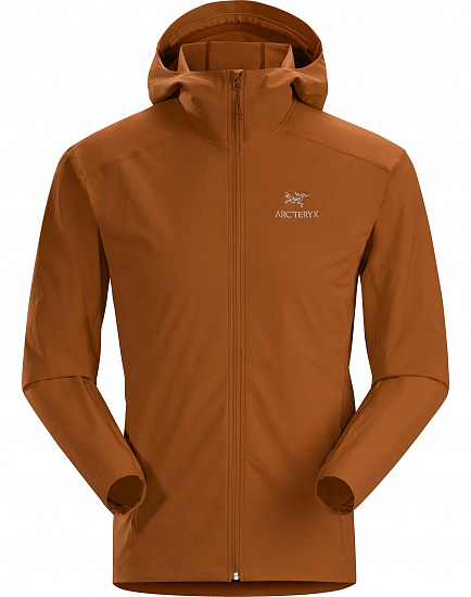Куртка мужская Arcteryx Gamma SL Hoody Agra - Фото 1 большая