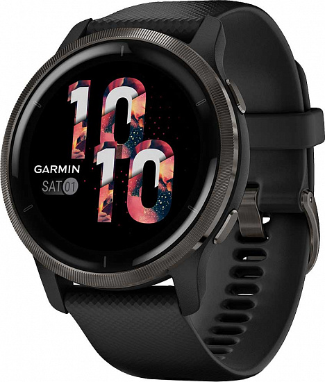 Часы Garmin Venu 2 Black+Slate - Фото 1 большая