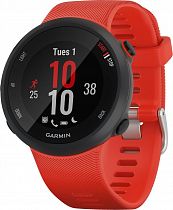 Часы Garmin Forerunner 45 Lava Red