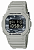 Часы Casio G-Shock DW-5600CA-8DR - Фото 1 малая