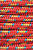 Репшнур Kailas Auxiliary 6мм/1м Red/Sky Blue/Yellow - Фото 1 малая