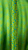 Веревка Tendon Master Pro CS 9,7мм/1м Green - Фото 3 малая