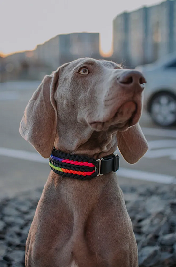 Паракорд Cord 550 30м Fireball - Фото 3 большая