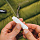 Смазка для молний Gear Aid Zipper Stick 2x 4.5 г - Фото 3 малая
