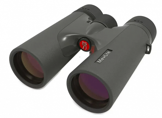 Бинокль Mewlite Eternals Pro 8x42 ED Roof  - Фото 1 большая